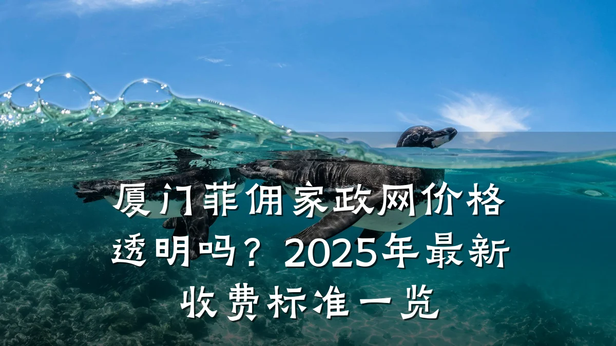 厦门菲佣家政网价格透明吗?2025年最新收费标准一览
