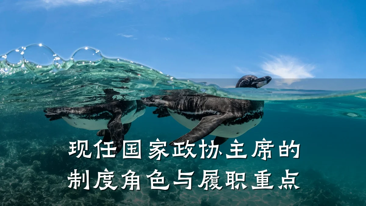现任国家政协主席的制度角色与履职重点