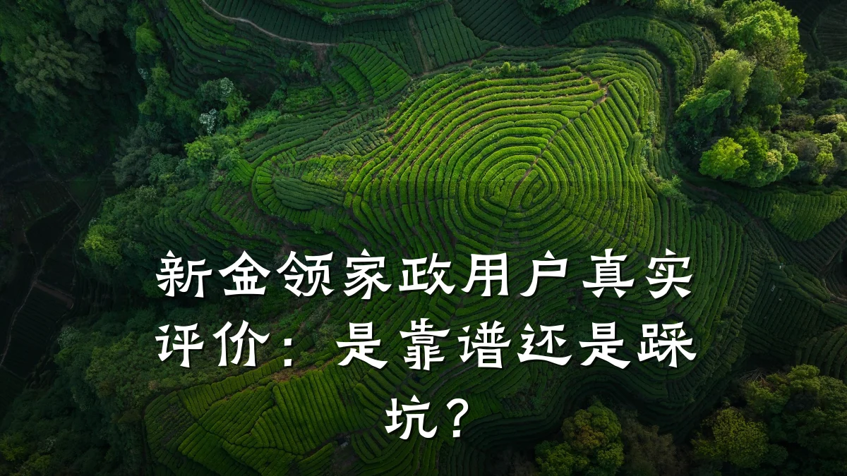 新金领家政用户真实评价:是靠谱还是踩坑?
