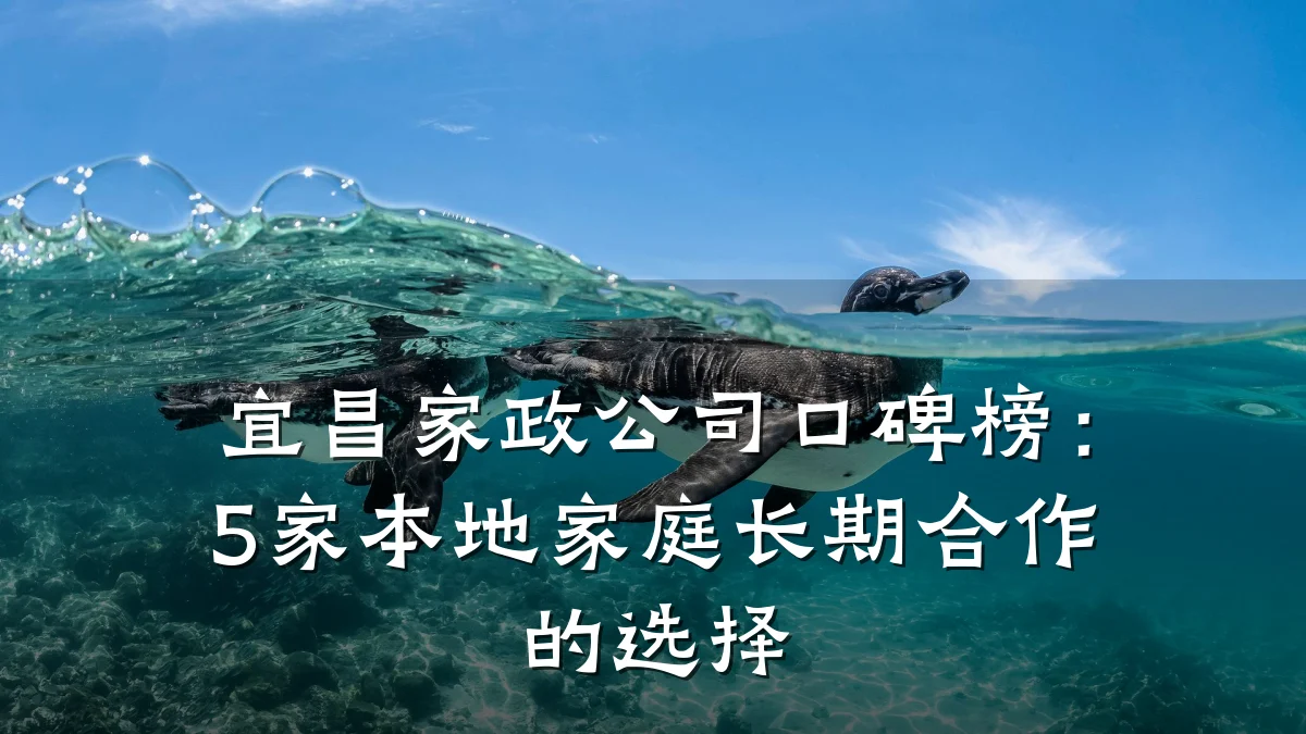 宜昌家政公司口碑榜:5家本地家庭长期合作的选择