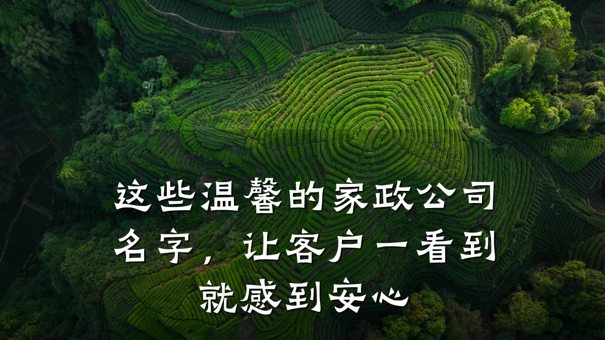 这些温馨的家政公司名字,让客户一看到就感到安心