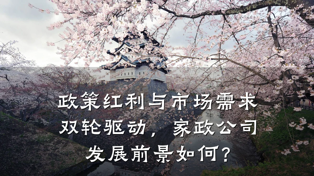 政策红利与市场需求双轮驱动,家政公司发展前景如何?