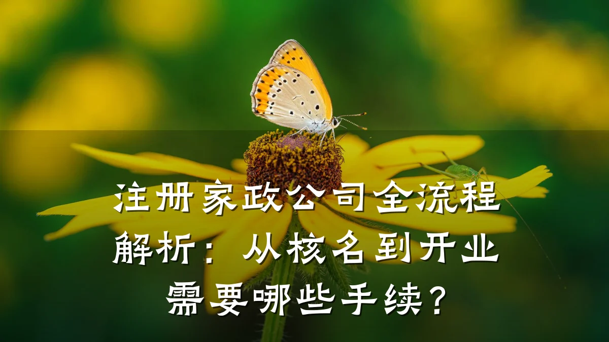 注册家政公司全流程解析:从核名到开业需要哪些手续?