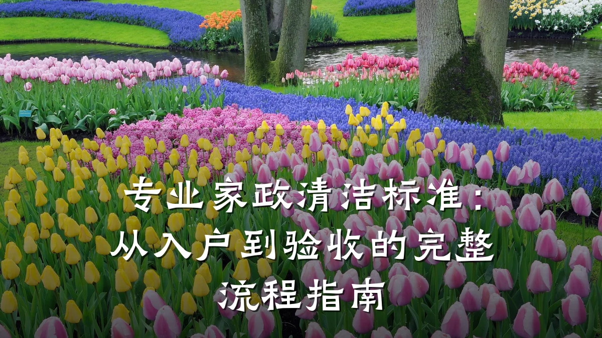 专业家政清洁标准:从入户到验收的完整流程指南