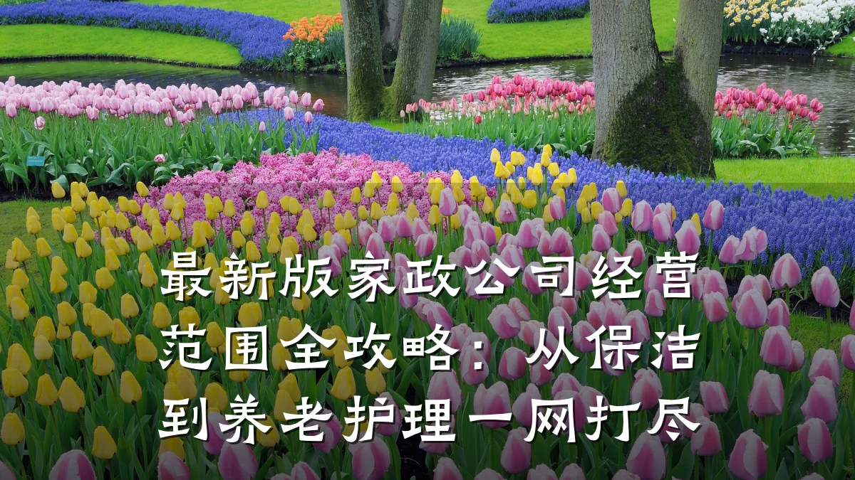 最新版家政公司经营范围全攻略:从保洁到养老护理一网打尽