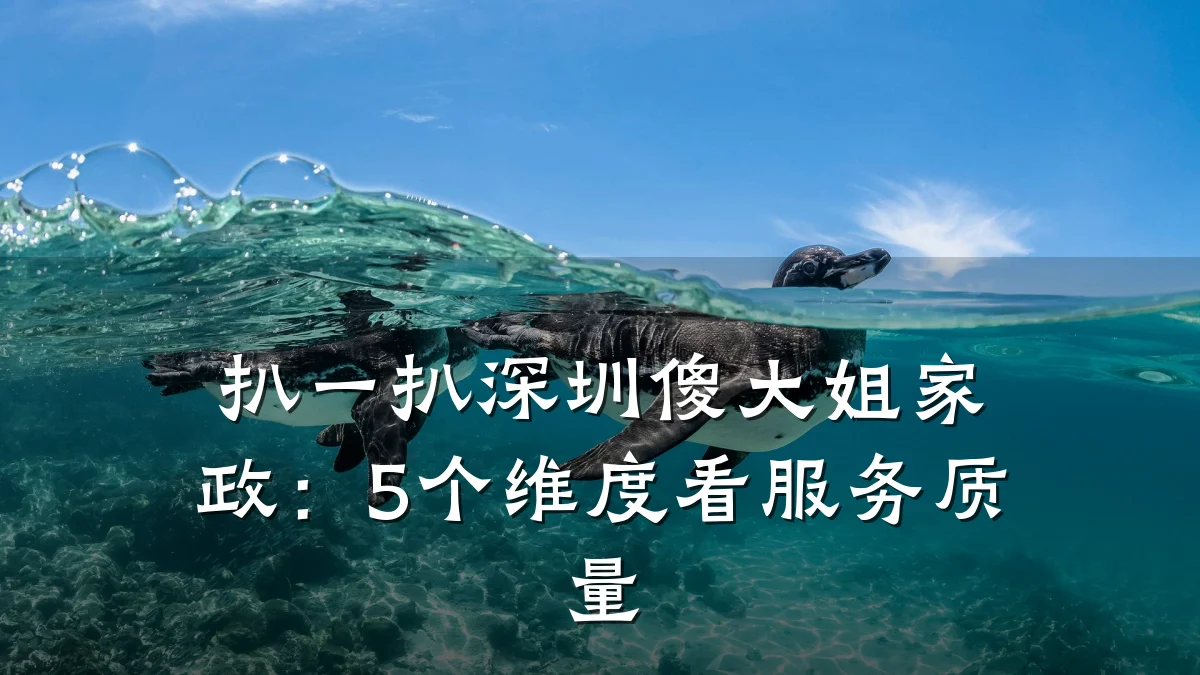 扒一扒深圳傻大姐家政:5个维度看服务质量