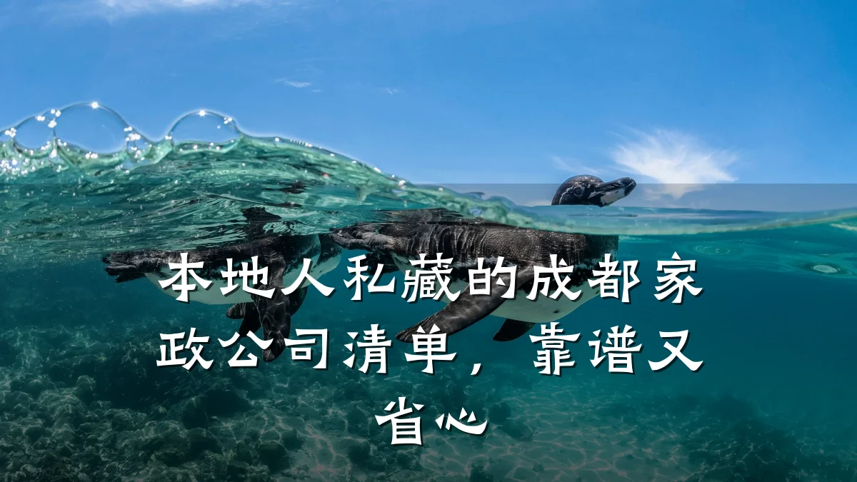 本地人私藏的成都家政公司清单，靠谱又省心