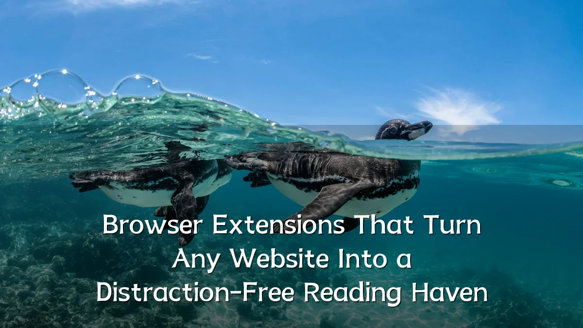 Browser Extensions That Turn Any Website Into a Distraction-Free Reading Haven
