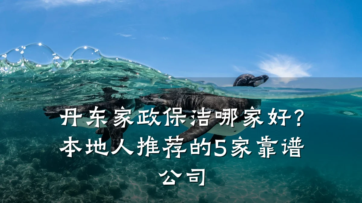 丹东家政保洁哪家好?本地人推荐的5家靠谱公司