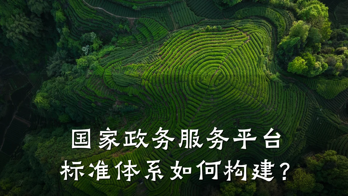 国家政务服务平台标准体系如何构建？