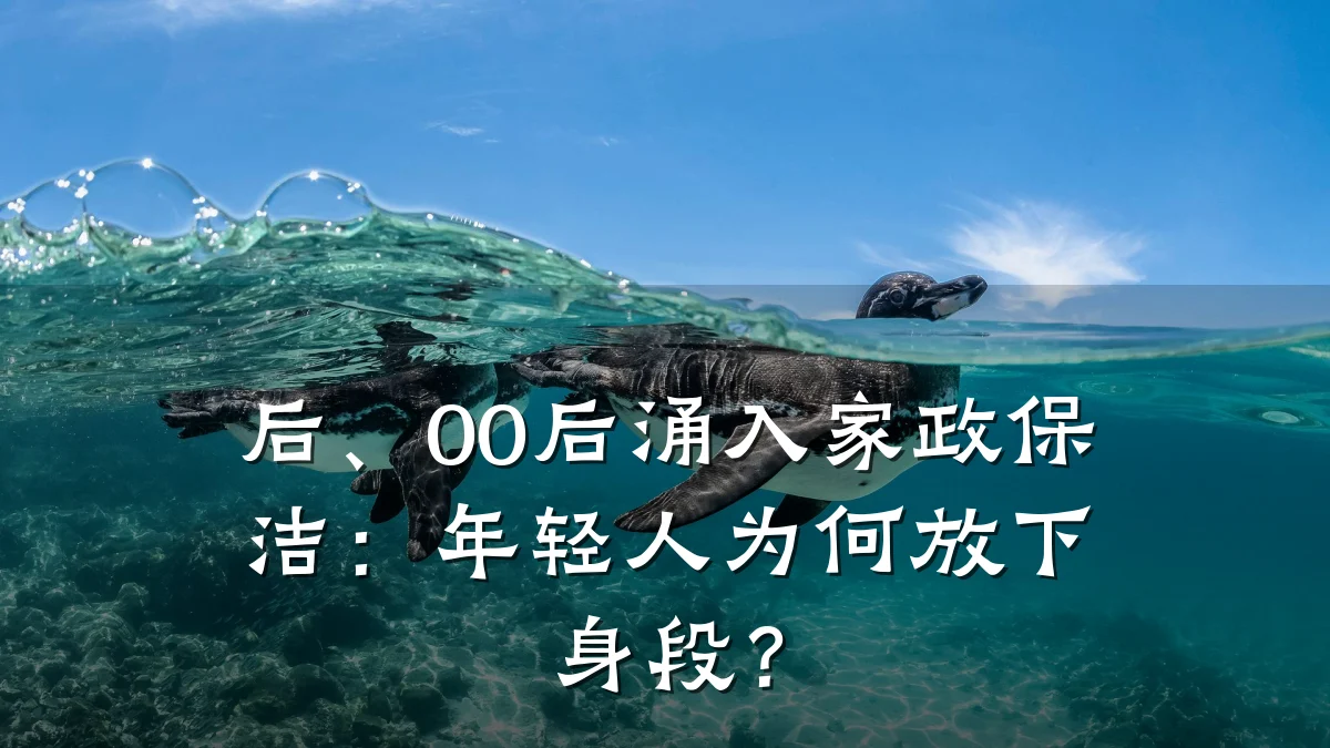 后、00后涌入家政保洁：年轻人为何放下身段？
