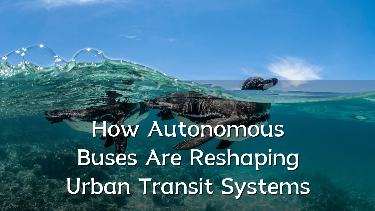 How Autonomous Buses Are Reshaping Urban Transit Systems
