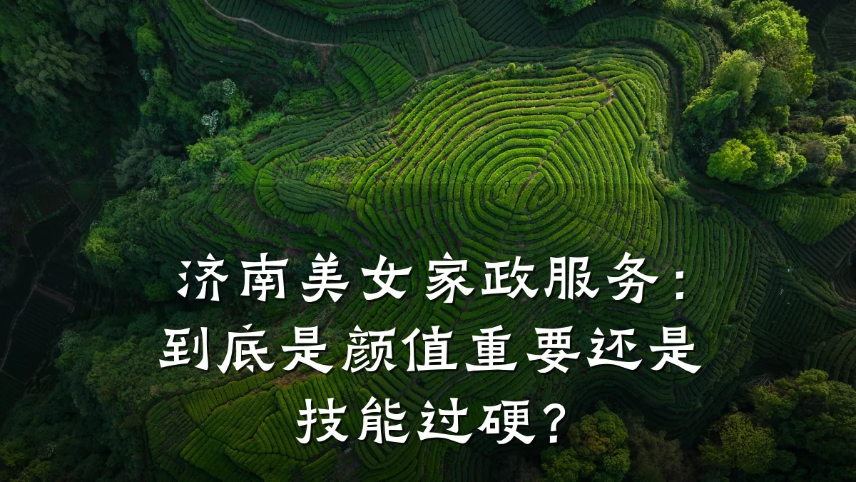 济南美女家政服务:到底是颜值重要还是技能过硬?