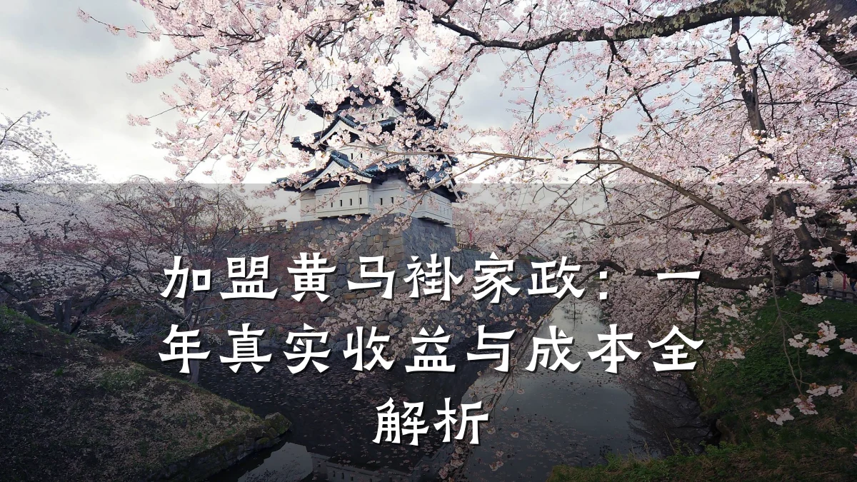 加盟黄马褂家政:一年真实收益与成本全解析