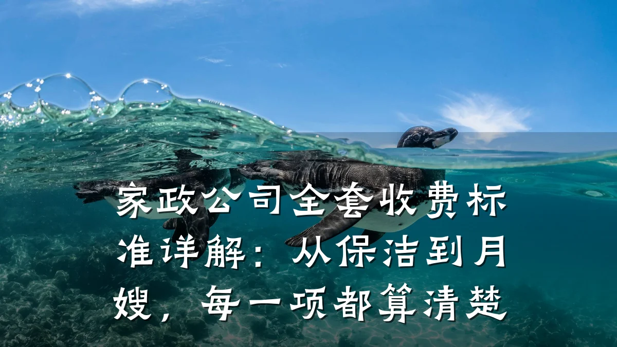 家政公司全套收费标准详解:从保洁到月嫂,每一项都算清楚