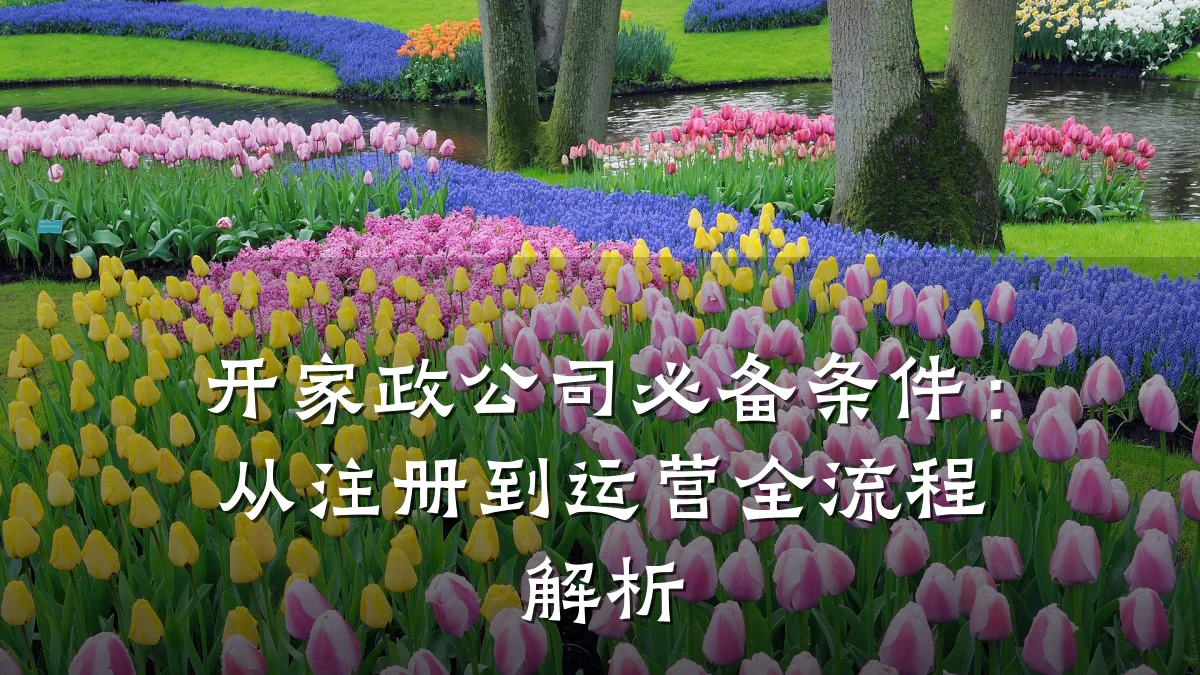 开家政公司必备条件：从注册到运营全流程解析