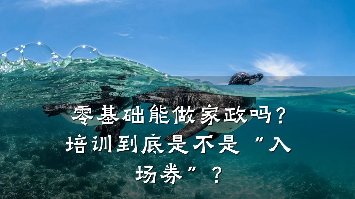 零基础能做家政吗?培训到底是不是“入场券”?