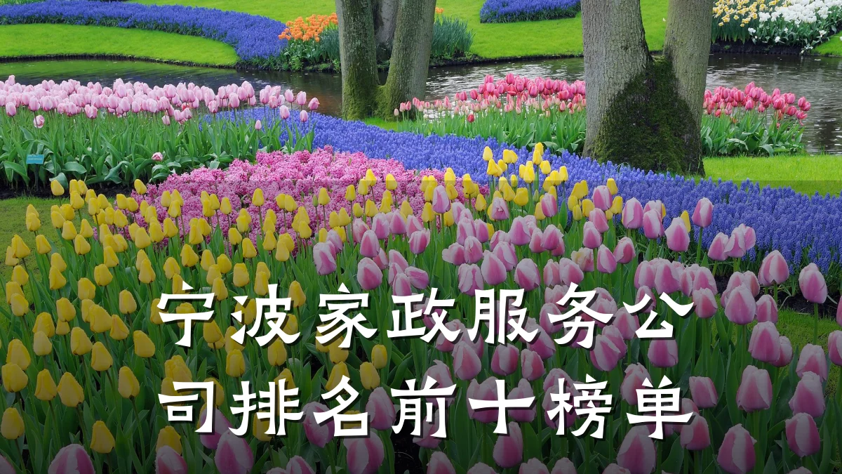 宁波家政服务公司排名前十榜单