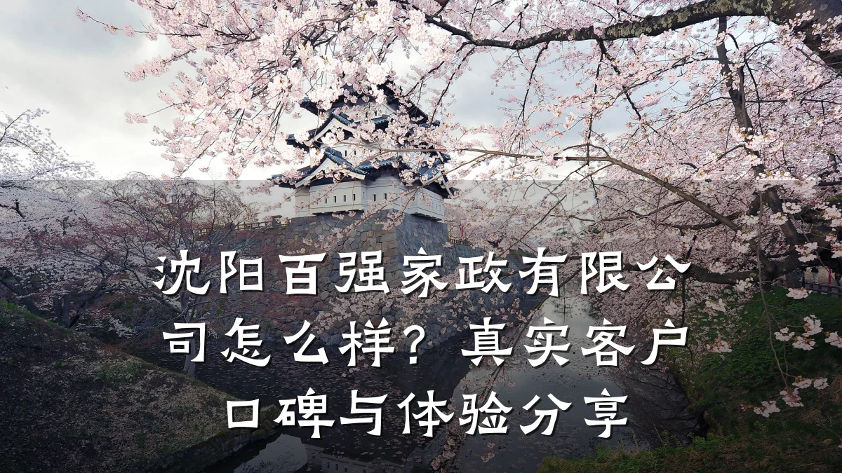 沈阳百强家政有限公司怎么样？真实客户口碑与体验分享