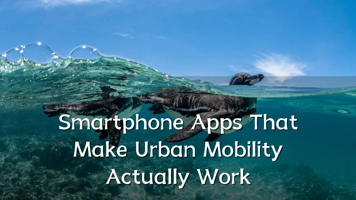 Smartphone Apps That Make Urban Mobility Actually Work