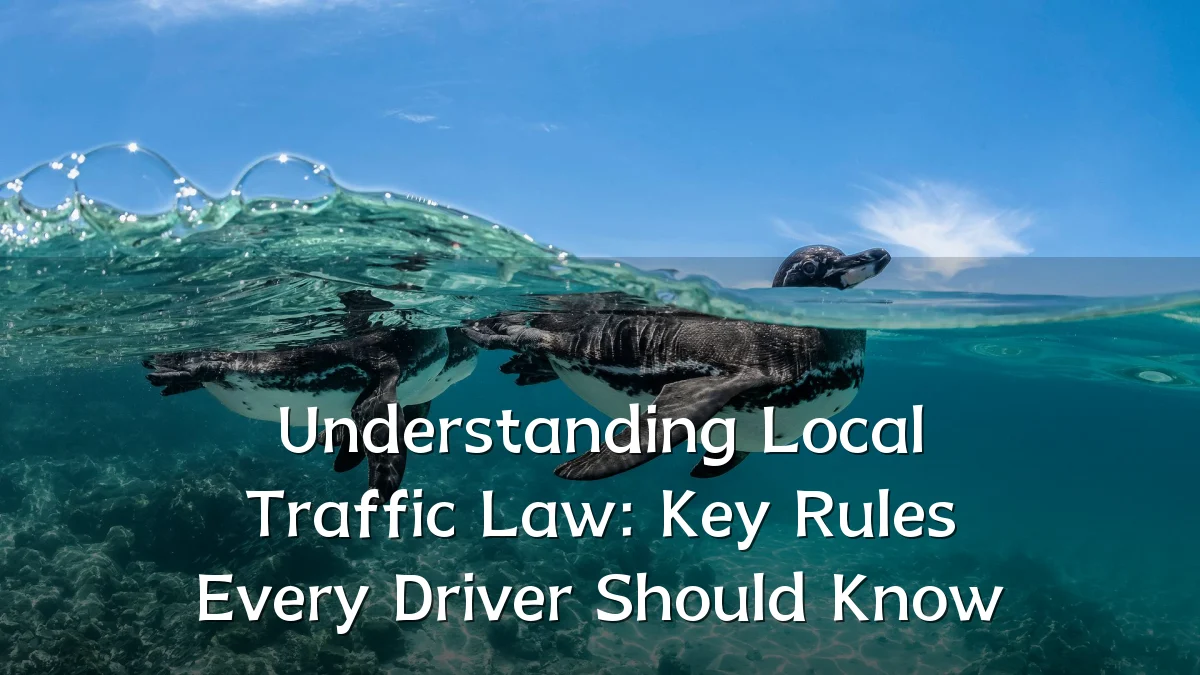 Understanding Local Traffic Law: Key Rules Every Driver Should Know