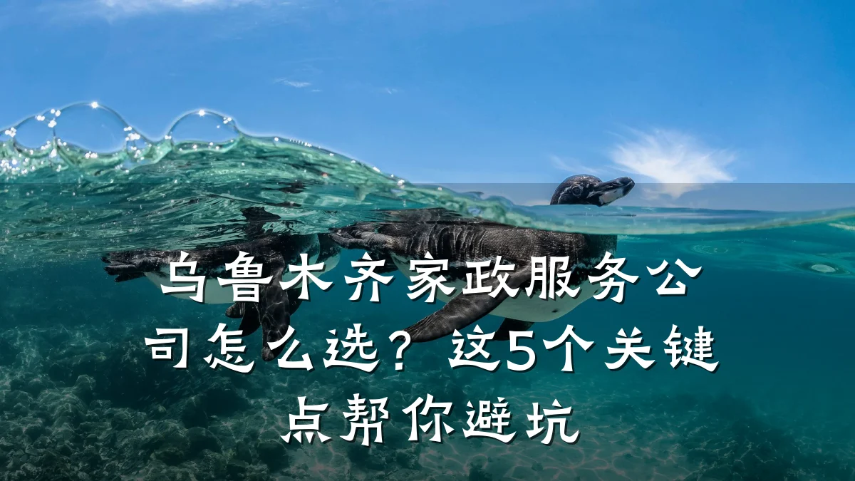 乌鲁木齐家政服务公司怎么选?这5个关键点帮你避坑