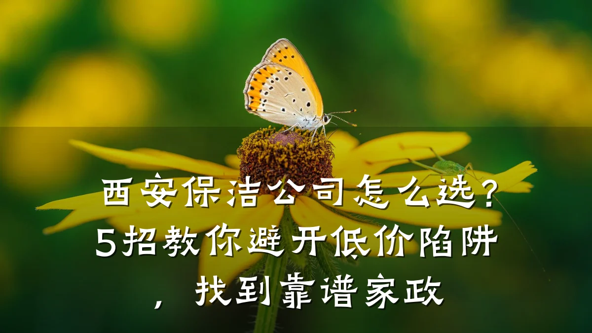 西安保洁公司怎么选?5招教你避开低价陷阱,找到靠谱家政