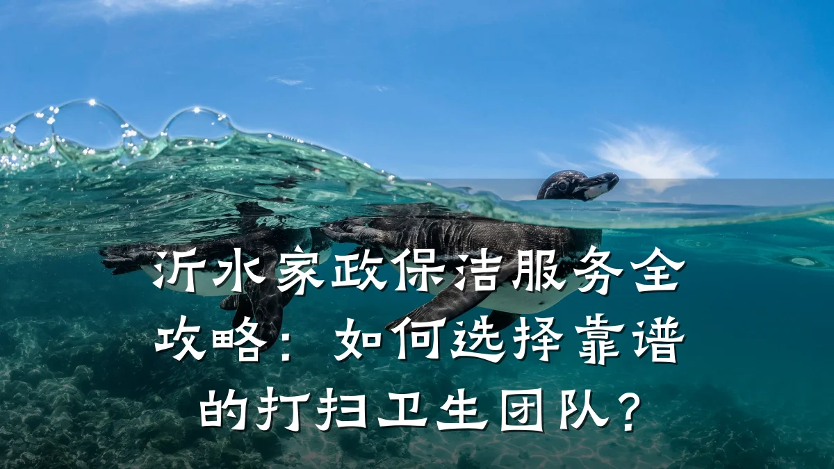 沂水家政保洁服务全攻略:如何选择靠谱的打扫卫生团队?