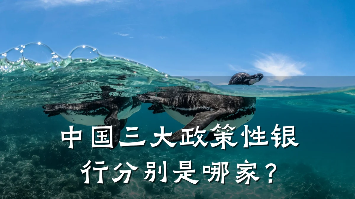 中国三大政策性银行分别是哪家?