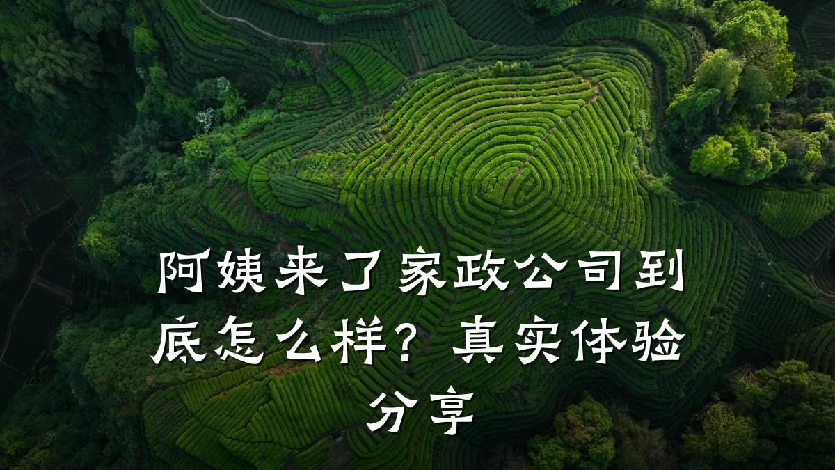 阿姨来了家政公司到底怎么样?真实体验分享