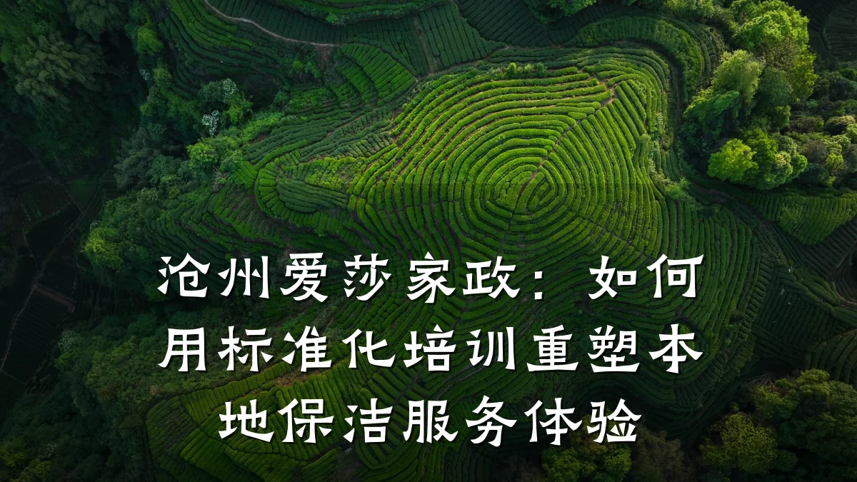 沧州爱莎家政:如何用标准化培训重塑本地保洁服务体验