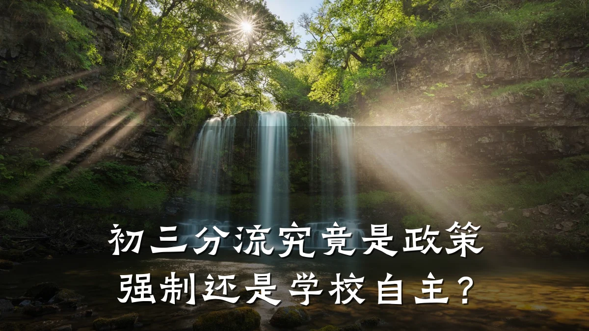 初三分流究竟是政策强制还是学校自主？