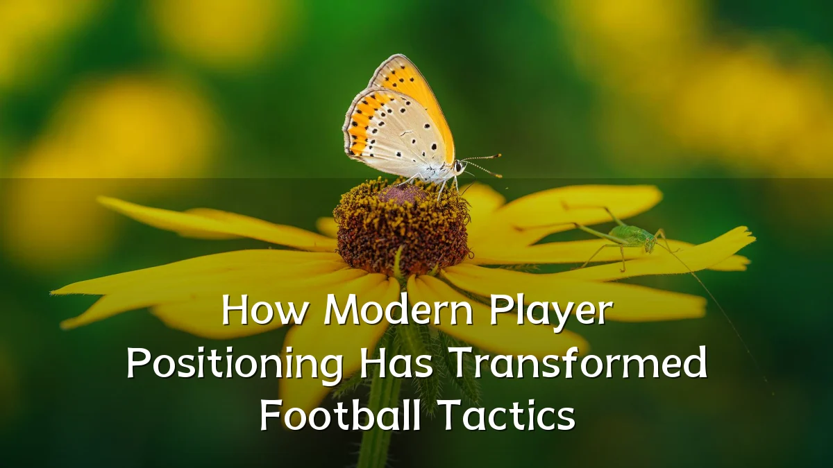 How Modern Player Positioning Has Transformed Football Tactics