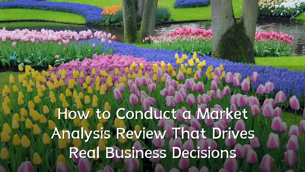 How to Conduct a Market Analysis Review That Drives Real Business Decisions