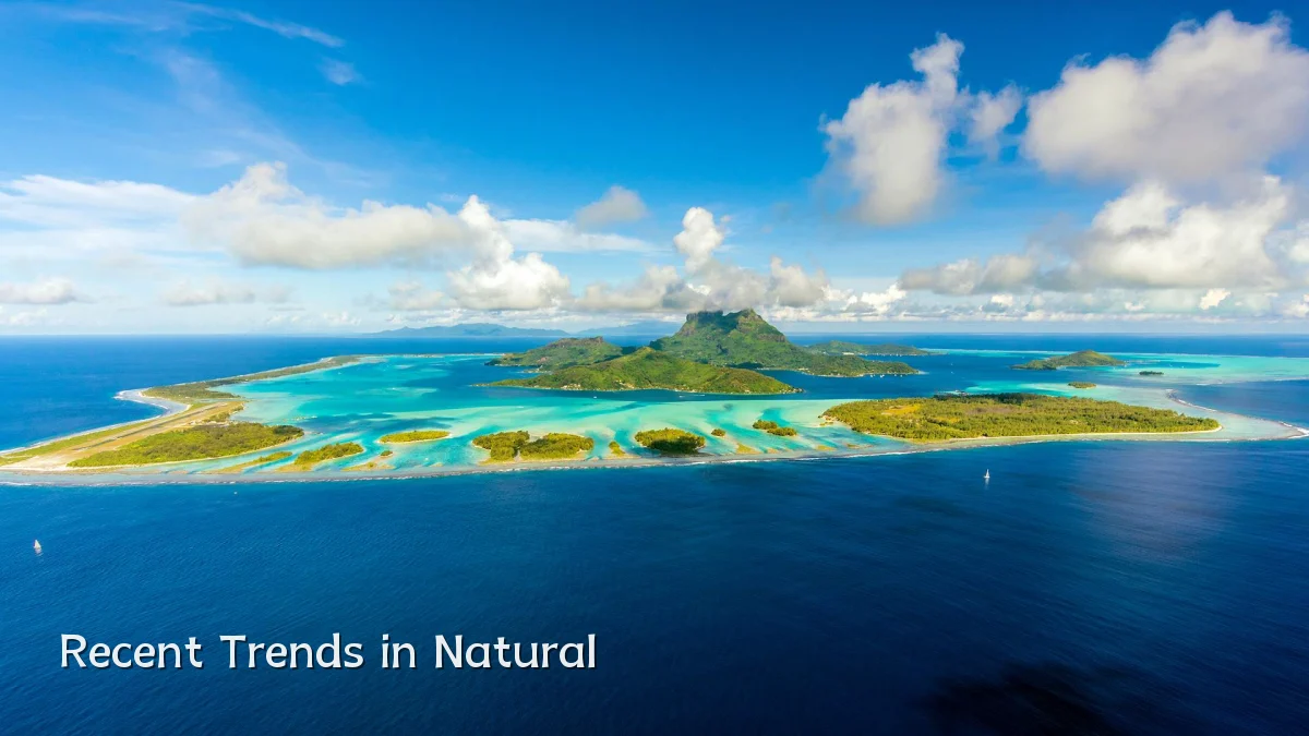 Recent Trends in Natural