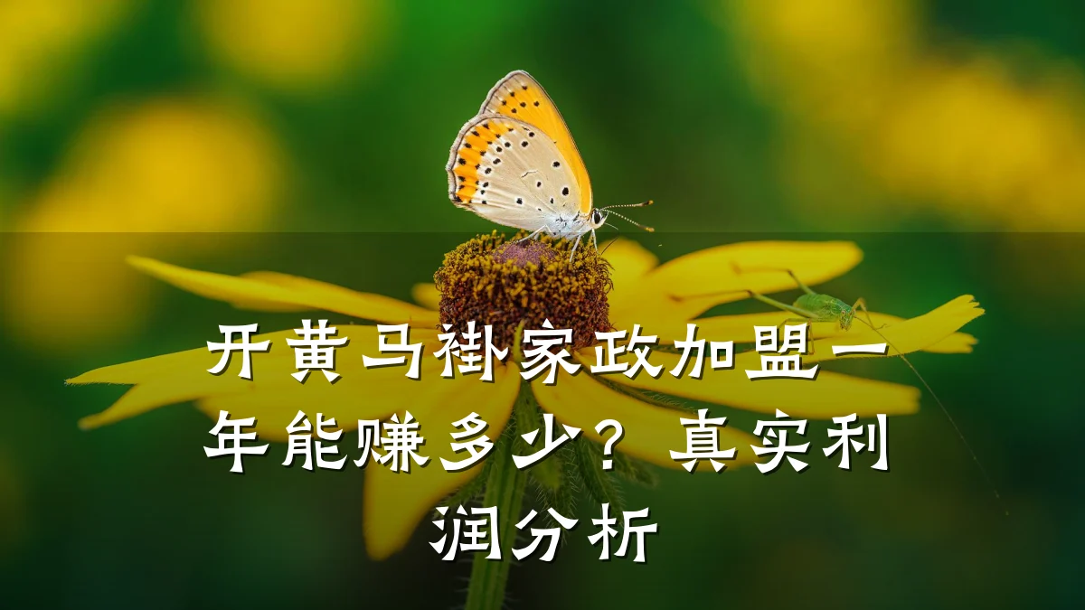 开黄马褂家政加盟一年能赚多少?真实利润分析