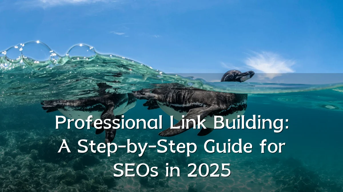 Professional Link Building: A Step-by-Step Guide for SEOs in 2025