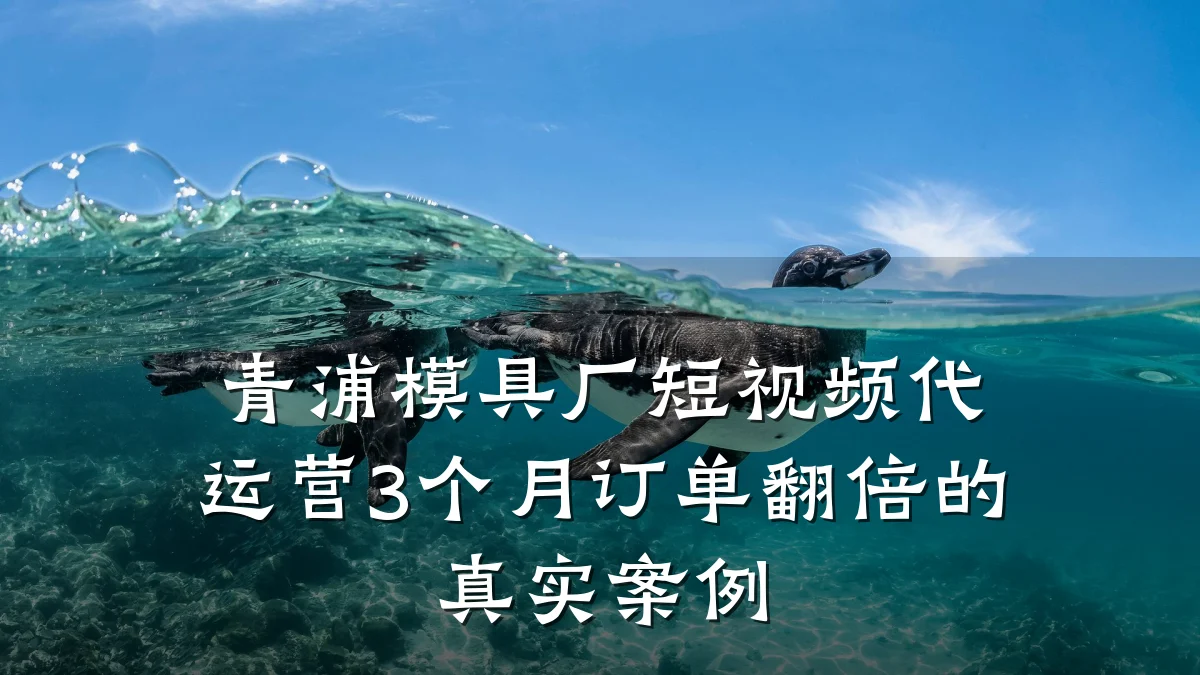 青浦模具厂短视频代运营3个月订单翻倍的真实案例