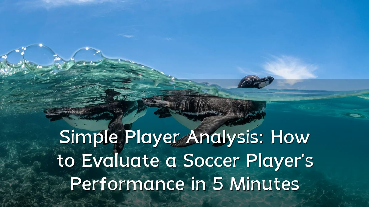 Simple Player Analysis: How to Evaluate a Soccer Player's Performance in 5 Minutes