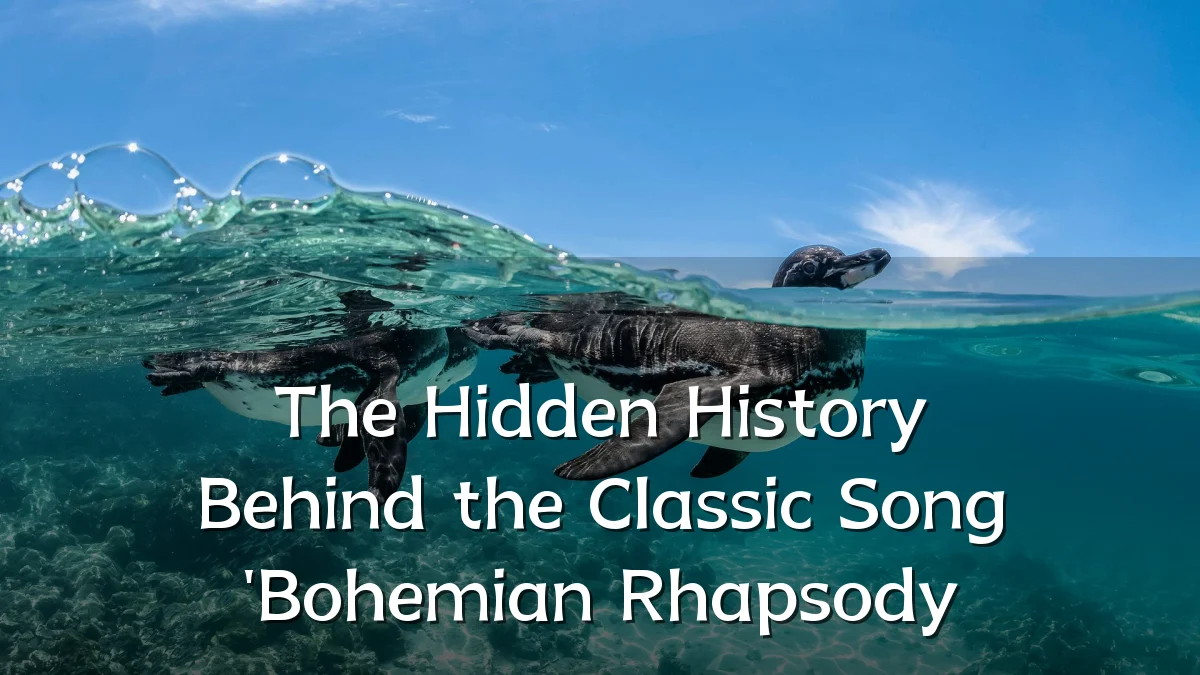 The Hidden History Behind the Classic Song 'Bohemian Rhapsody