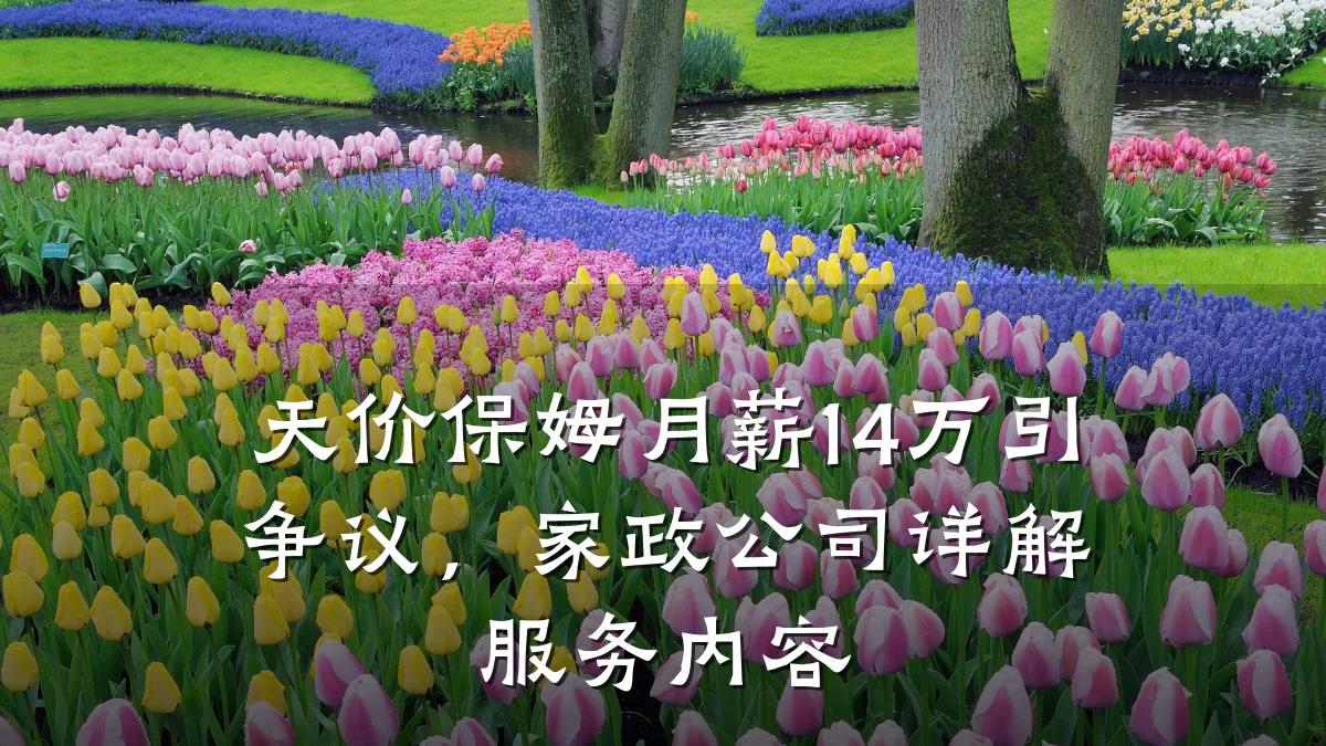 天价保姆月薪14万引争议,家政公司详解服务内容