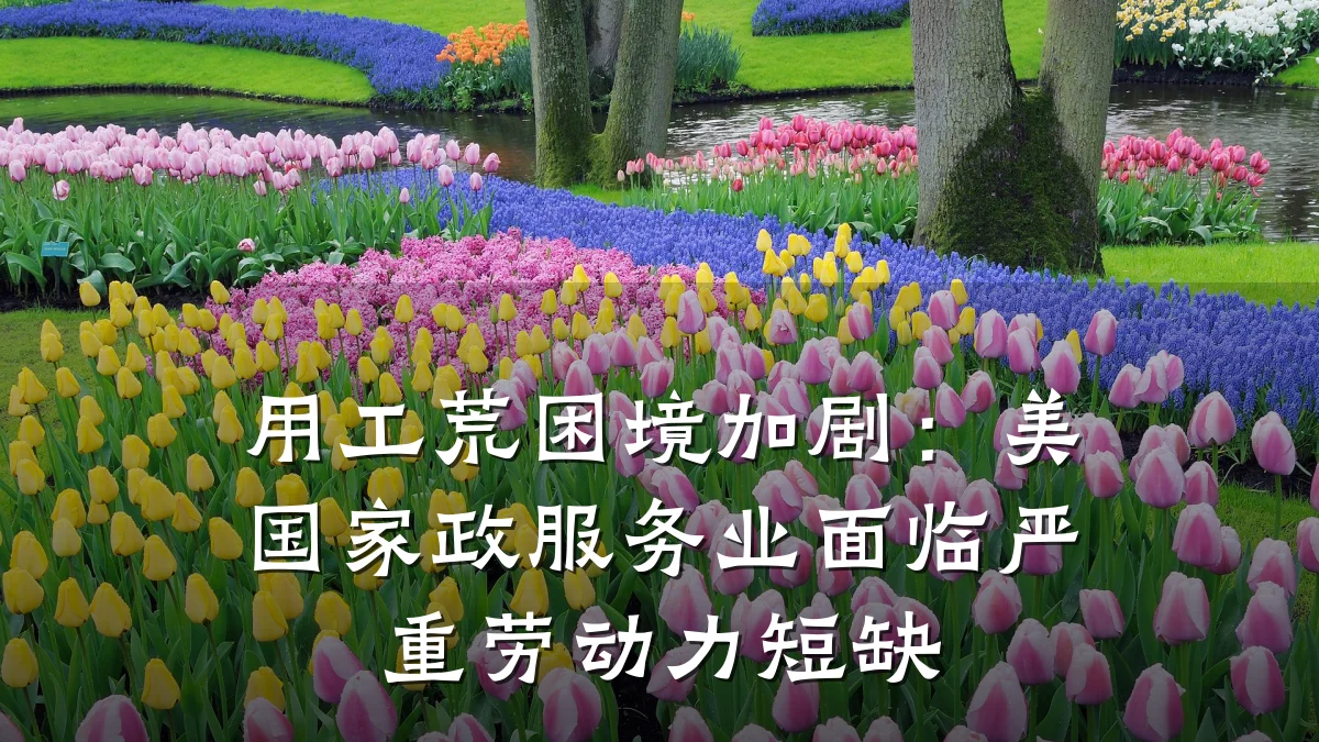 用工荒困境加剧:美国家政服务业面临严重劳动力短缺
