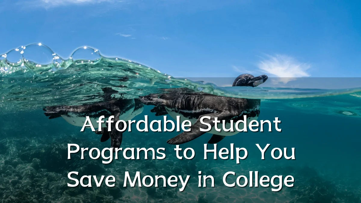Affordable Student Programs to Help You Save Money in College