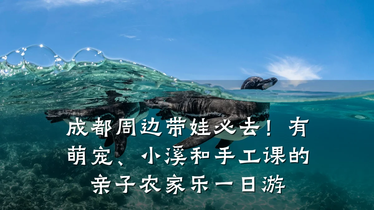 成都周边带娃必去!有萌宠、小溪和手工课的亲子农家乐一日游