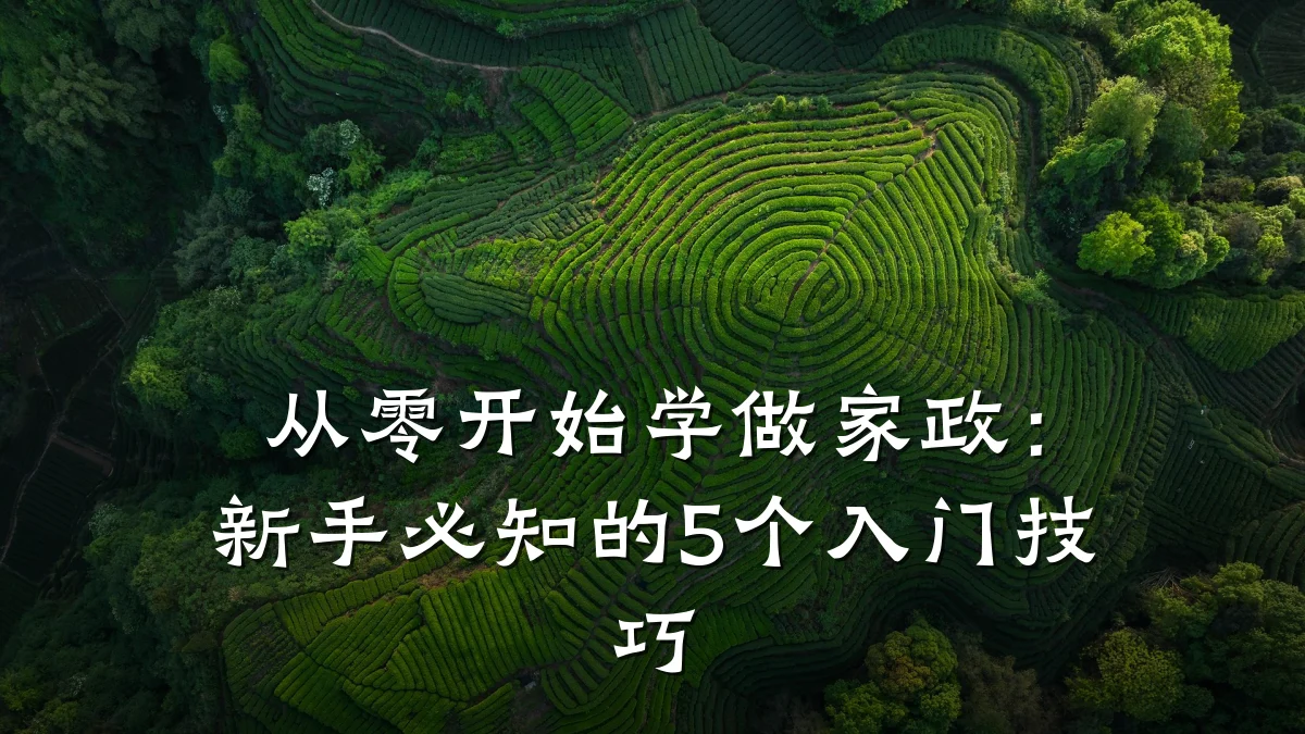 从零开始学做家政：新手必知的5个入门技巧