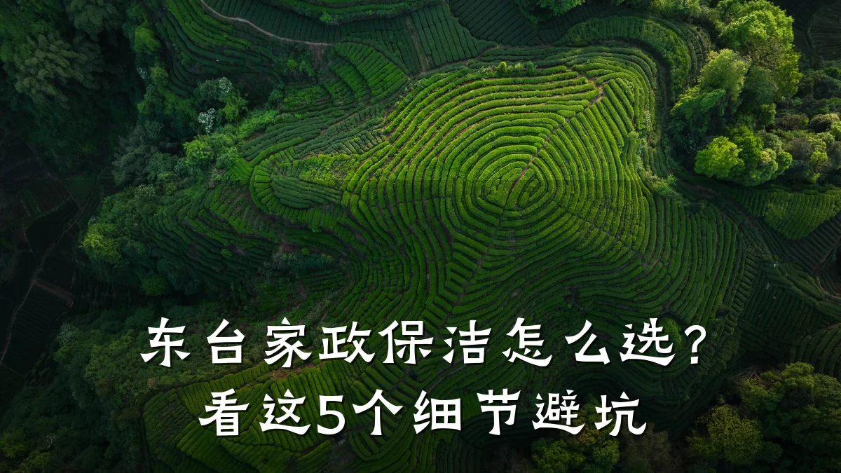 东台家政保洁怎么选?看这5个细节避坑