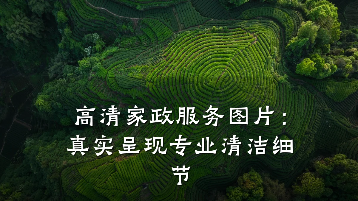 高清家政服务图片:真实呈现专业清洁细节