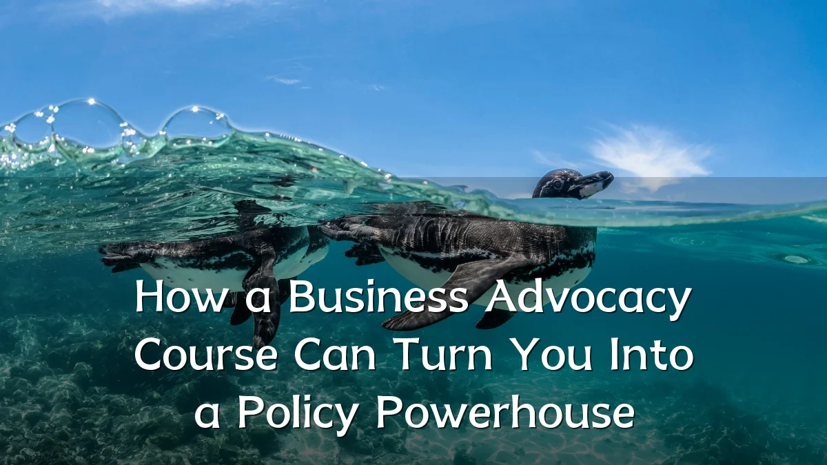 How a Business Advocacy Course Can Turn You Into a Policy Powerhouse