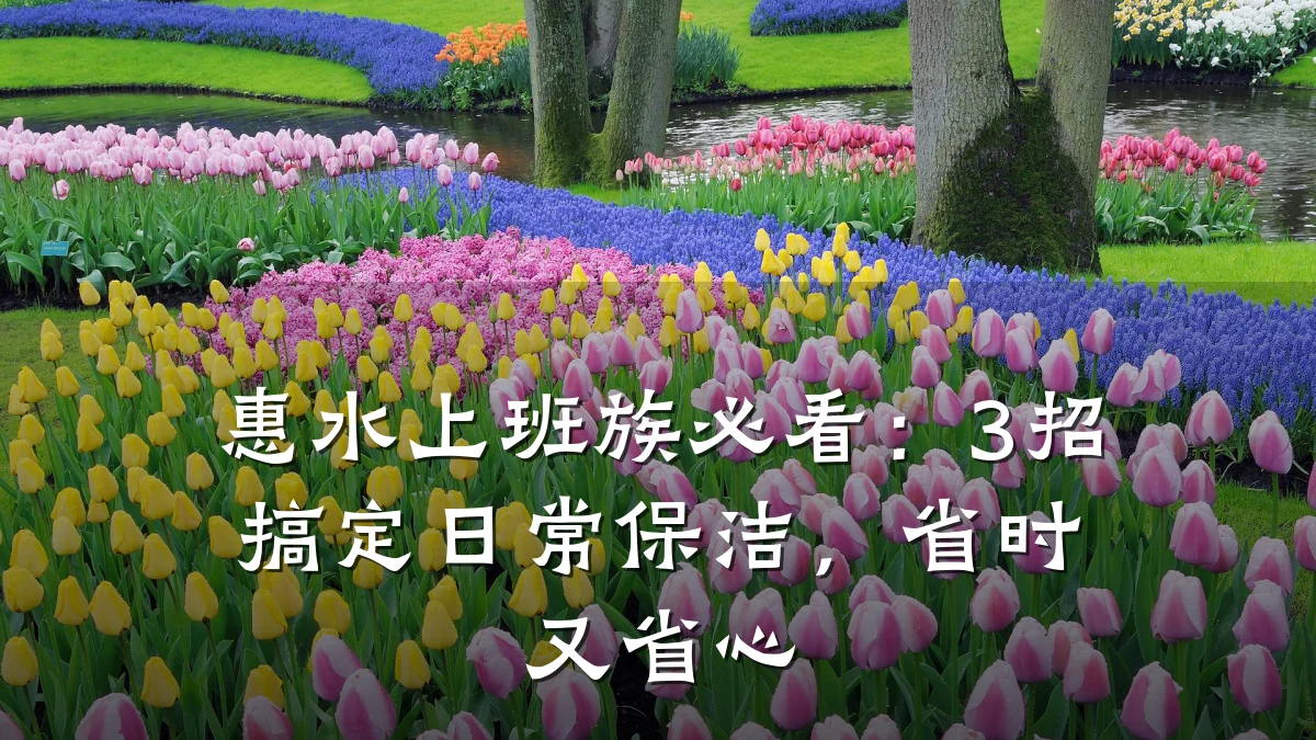 惠水上班族必看：3招搞定日常保洁，省时又省心