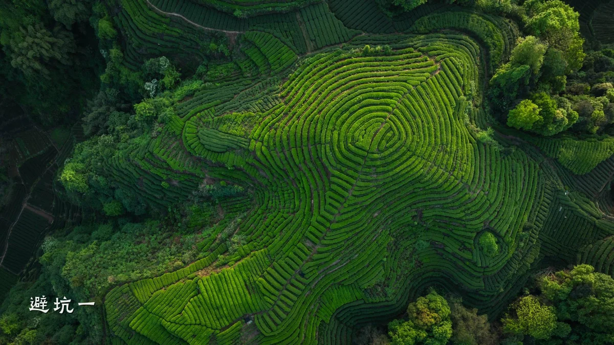 避坑一
